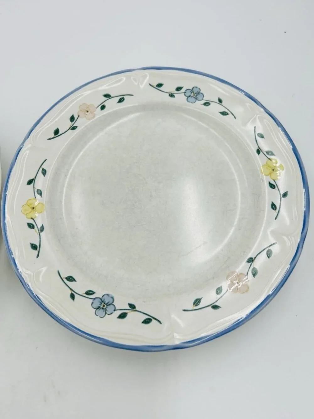 The Cellar Odette Floral Dinner Plates 10.5